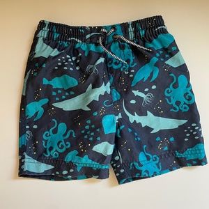 Tea Collection swim trunks size 3